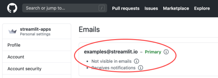 Streamlit's email highlighted on their GitHub profile